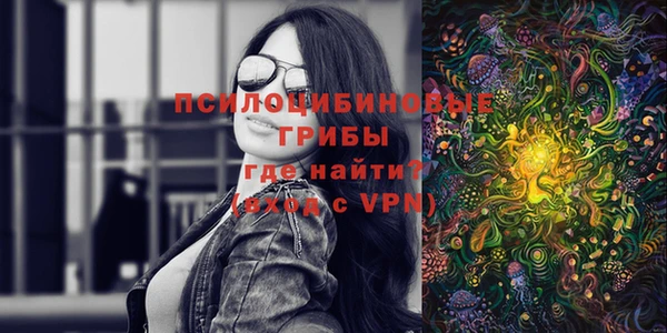 а пвп мука Алзамай