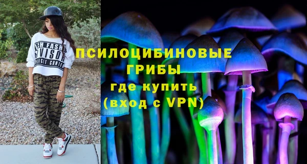 ГАЛЛЮЦИНОГЕННЫЕ ГРИБЫ Алексеевка