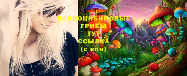 а пвп мука Алзамай